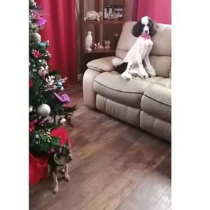 Meet your Posher, Marie-josée